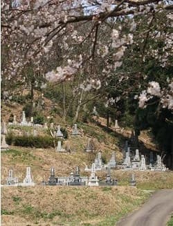 ぎんなんの里霊園