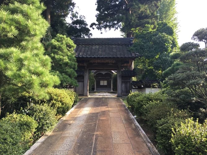 吉祥寺 新東墓地
