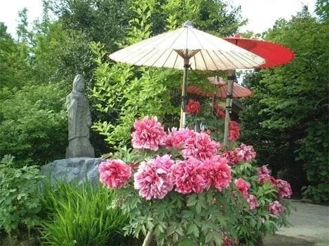 となみ野霊園