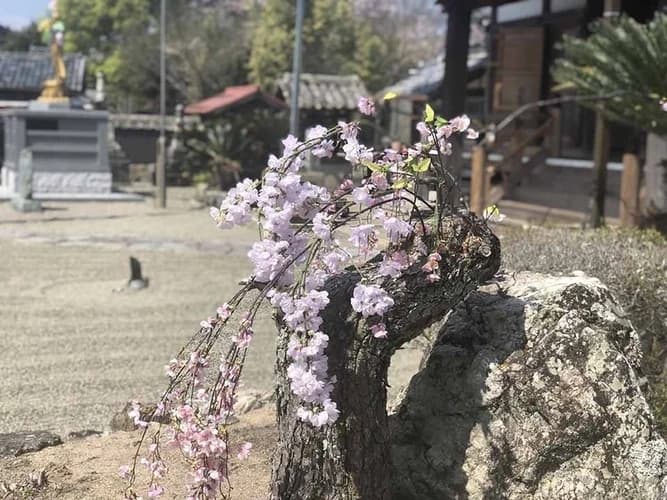 淨土寺 永代納骨堂・永代供養堂