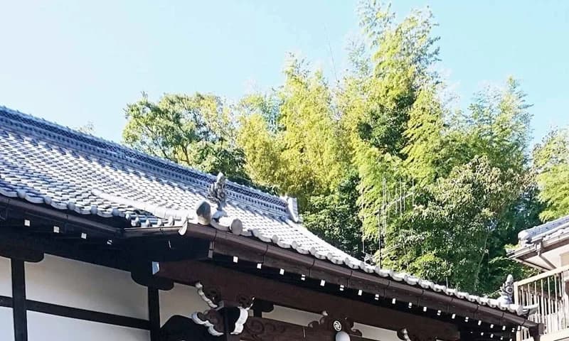 天真寺 個別永代供養・樹木葬