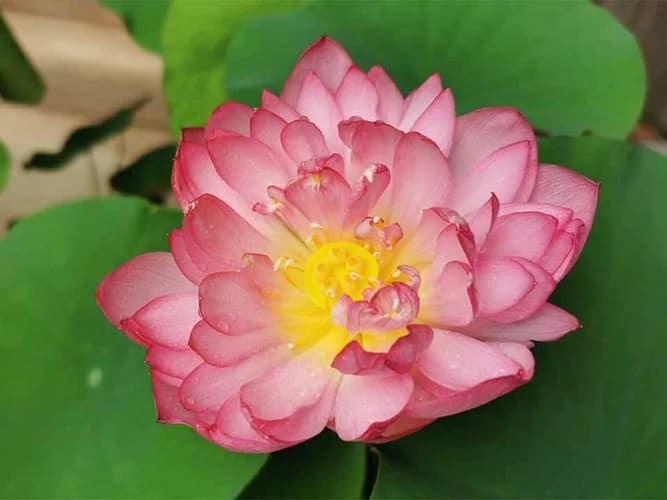 龍光山玉泉寺 永代供養墓・納骨壇