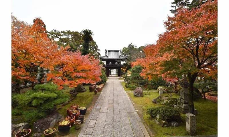 津市永代供養墓霊園 四天王寺
