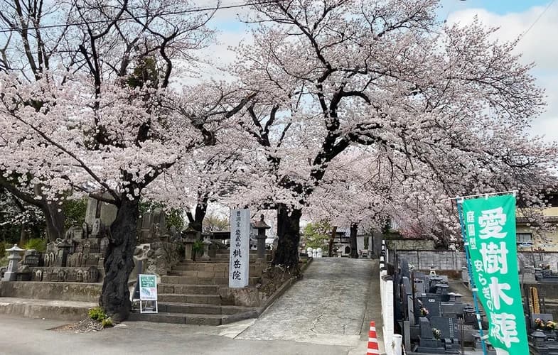 「愛樹木葬」南アルプスの郷樹木葬墓地