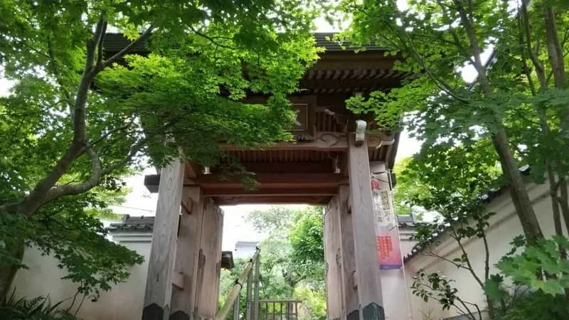 飯盛山 青苔寺