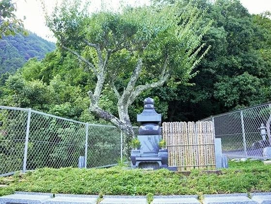梅林廟 永代供養墓