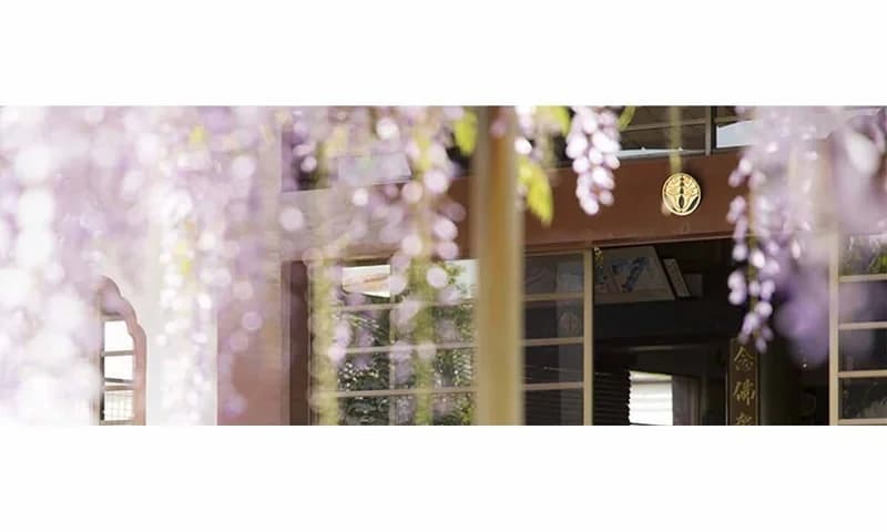 徳音山 浄慶寺