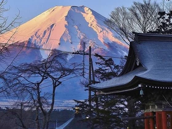 忍野富士樹木葬