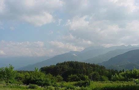 高福寺 岩窪墓苑