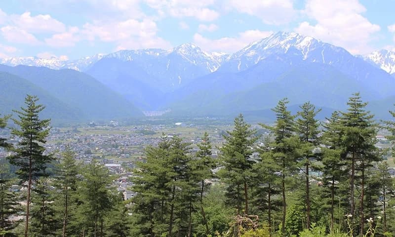 霊松寺 救世霊園