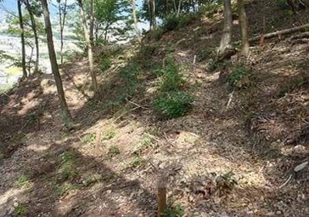 小牧フォーレスト霊園「桜ヶ丘聖苑」