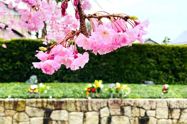 大源寺 樹木葬