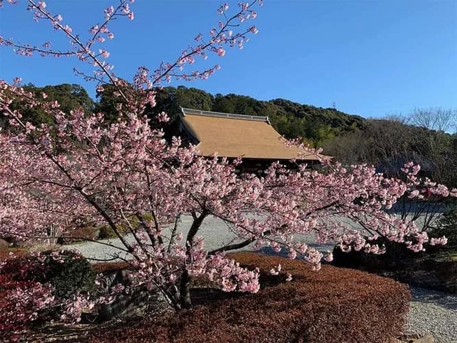 宝林寺 永代納骨供養墓