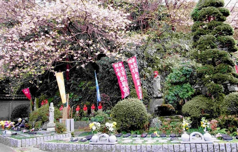 「愛樹木葬」清水興津樹木葬墓地