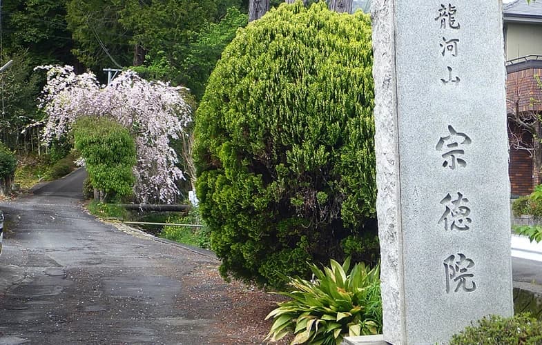 「愛樹木葬」清水興津樹木葬墓地