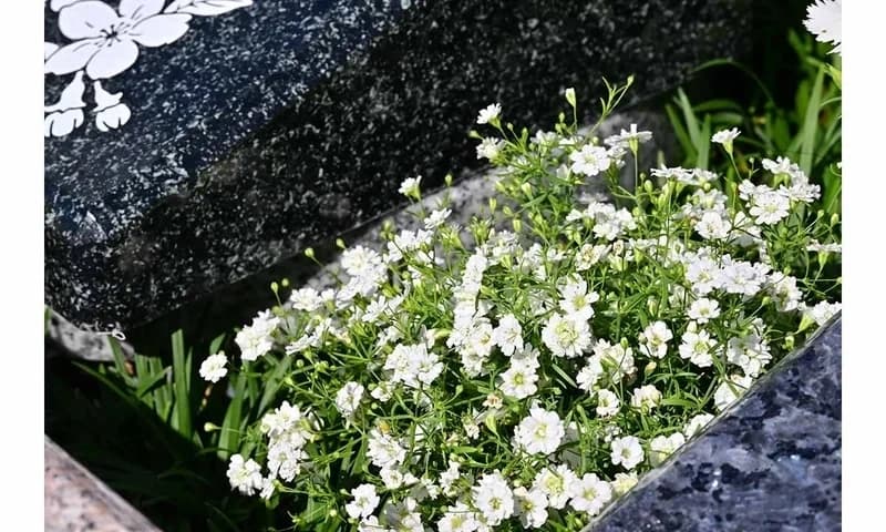 清水秋葉山メモリアルガーデン