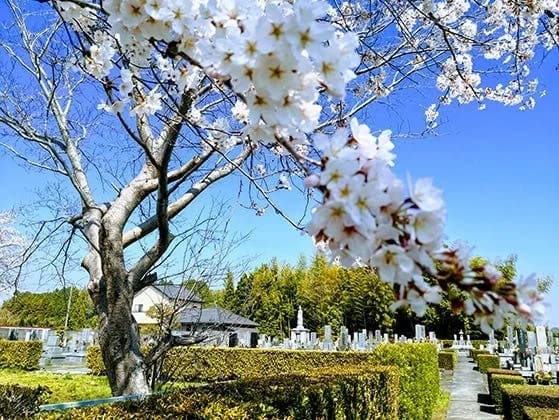 西福寺霊苑