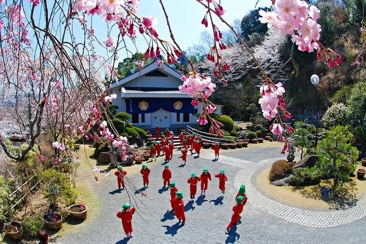 正蓮寺 はすのさと