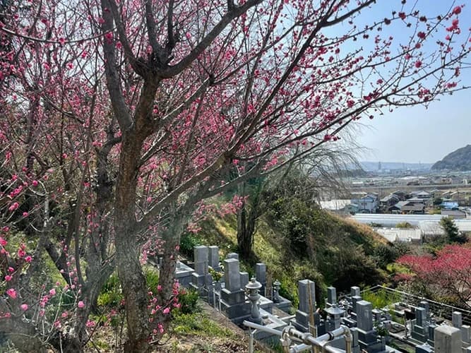 瑞泉寺 のうこつぼ
