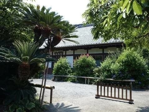 普應寺