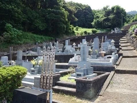 普應寺