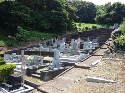 普應寺