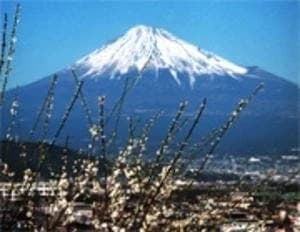 宗清寺