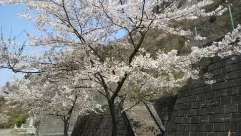 メモリアル伊佐布 清水霊園