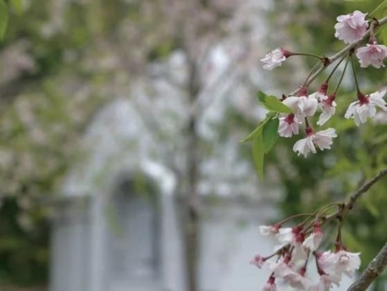 鴨江寺 鴨江観音