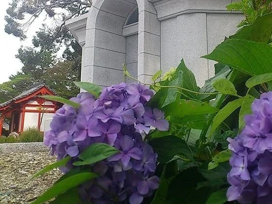 鴨江寺 鴨江観音