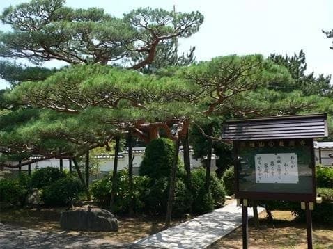 時宗 仏種山 教興寺