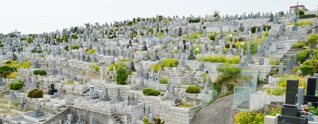 墓地全景
