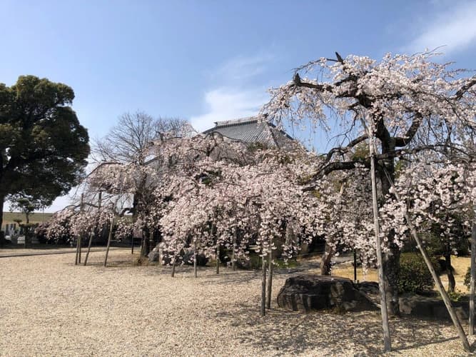 正願寺墓地