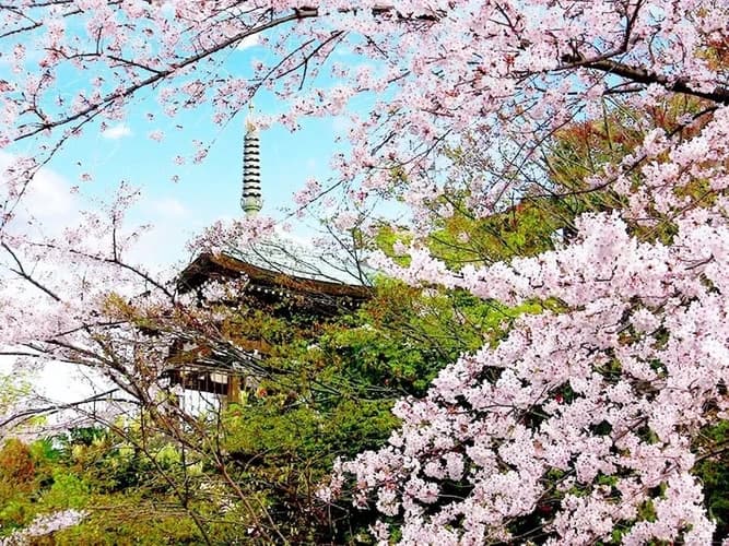三宝山 瑞光寺 納骨堂