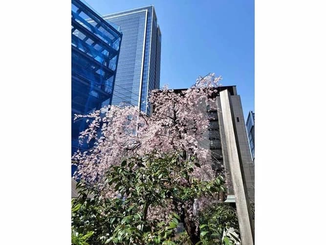 納骨堂【 櫻花廟（おうかびょう）】