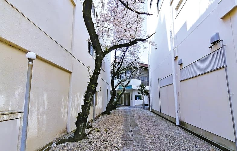 「愛樹木葬」平和公園阿弥陀院樹木庭園墓地