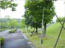 緑豊富な憩いの立地
