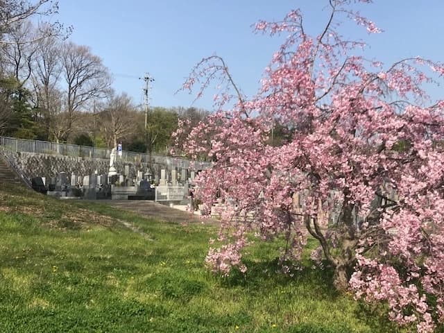 平和公園 東輪寺墓地
