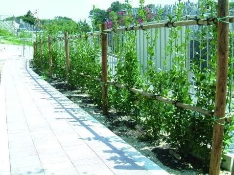 平和公園 やすらぎ霊苑