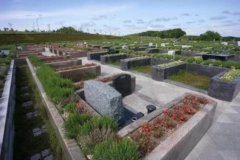 真駒内滝野霊園 やすらぎの里 ラベンダーガーデン