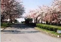 八戸市営 東霊園