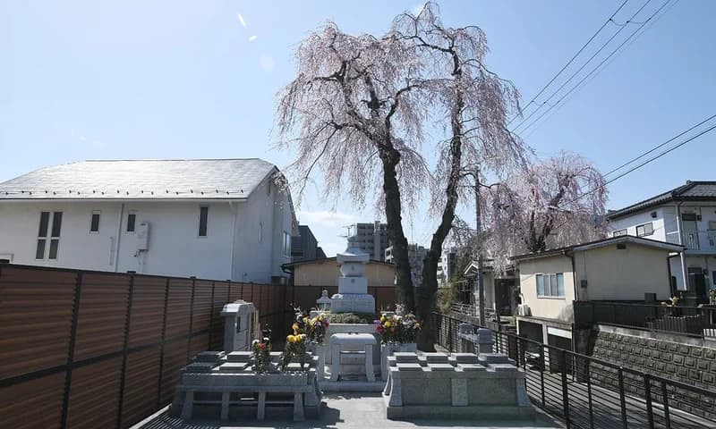 別格本山 龍寶寺