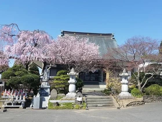 充國寺 のうこつぼ