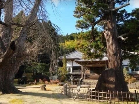 箱泉寺