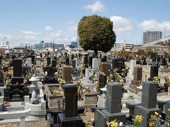 保寿寺