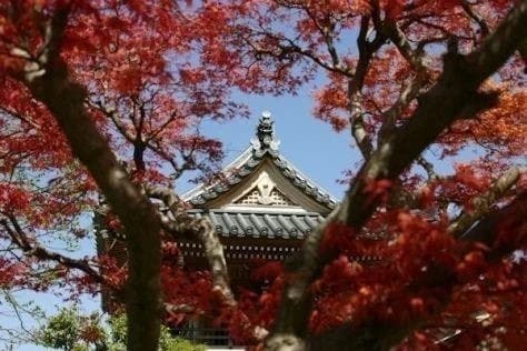 洞源院