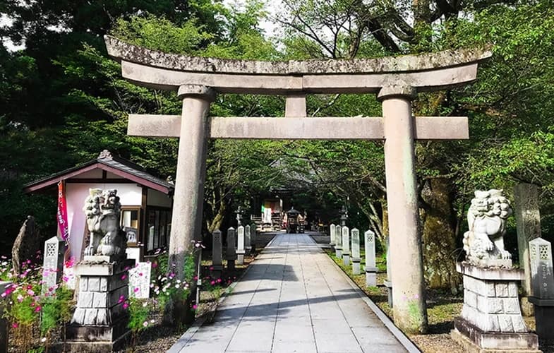 「愛樹木葬」仙台秋保めがね橋樹木葬墓地