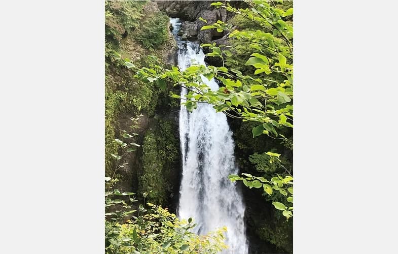 「愛樹木葬」仙台秋保めがね橋樹木葬墓地