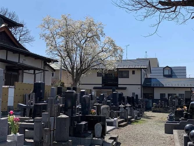 紫光山 極楽寺
