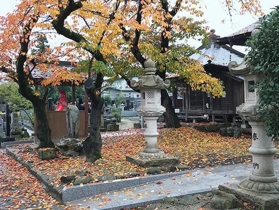 明智寺